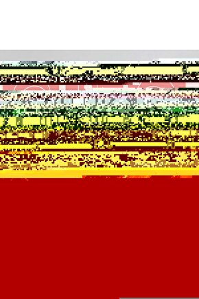 Matisse - Boho - Art Deco - Soyut - Doğa ( 3 lü Çerçevesiz ) Poster - Afiş - Tablo KR2C01070