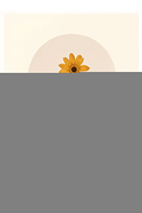 Love & Other Drugs (2010) ( FOLYO ) - AFİŞ - POSTER-4396