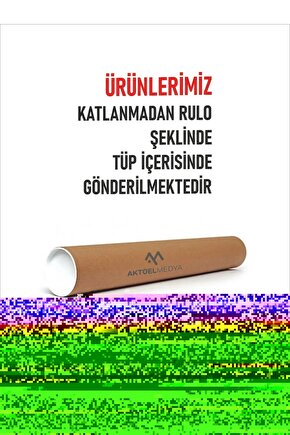 Matisse - Boho - Art Deco - Soyut - Doğa ( 3 lü Çerçevesiz ) Poster - Afiş - Tablo KR2C00184