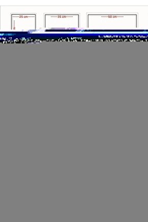 Dangerous Man (tehlikeli Adam) Dvd