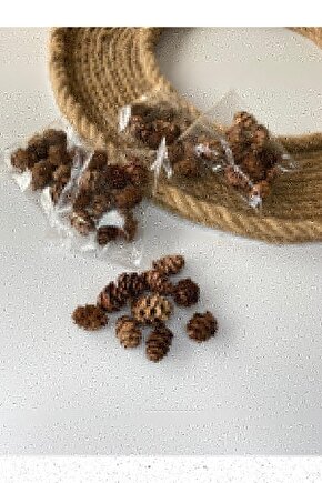 50 Adet Mini Kozalak Yılbaşı Sofra Çam Ağacı Süsü Kapı Süsü