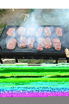 Matisse - Sanat - Soyut - Doğa - Yaşam ( Tekli Çerçevesiz ) Poster - Afiş - Tablo MKKM2649