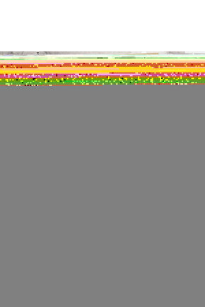 Matisse - Sanat - Soyut - Doğa - Yaşam ( Tekli Çerçevesiz ) Poster - Afiş - Tablo MKKM1106