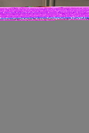 Matisse - Sanat - Soyut - Doğa - Yaşam ( Tekli Çerçevesiz ) Poster - Afiş - Tablo MKKM1310