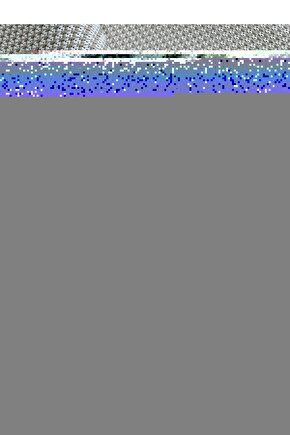 Matisse - Sanat - Soyut - Doğa - Yaşam ( Tekli Çerçevesiz ) Poster - Afiş - Tablo MKKM1427