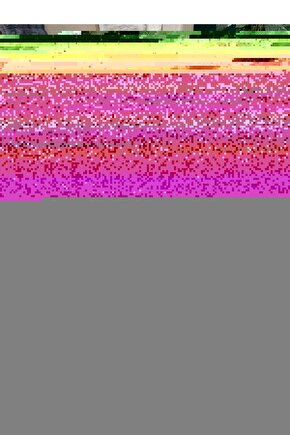 Matisse - Boho - Art Deco - Soyut - Doğa ( 3 lü Çerçevesiz ) Poster - Afiş - Tablo KR2C01196