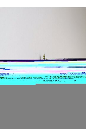 Damat Yaka Çiçeği 65