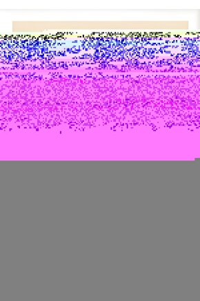 Janett Model Çift Kişilik Baza ve Başlık Seti Minimalist Tasarım, Maksimum Fonksiyon