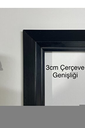 Matisse - Boho - Art Deco - Soyut - Doğa ( 3 lü Çerçevesiz ) Poster - Afiş - Tablo KR2C01050