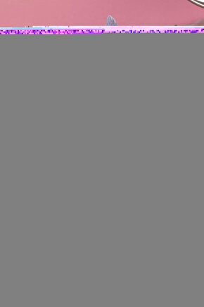 Ağaçların Altındaki Böcekler - Lıfe In The Undergrowth - 2 Dvd