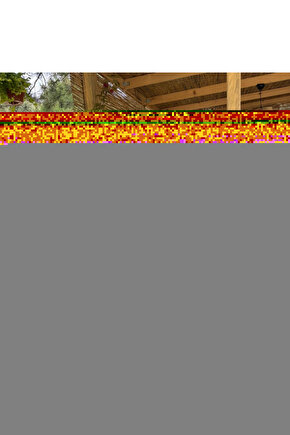 American Violet Amerikan Menekşesi Blu - Ray Disc