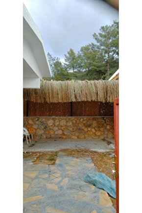 The Accidental Husband