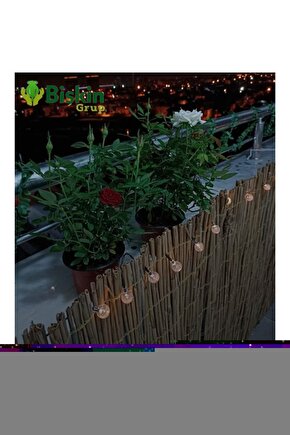 The Prince And Me 2: The Royal Wedding (prens Ve Ben 2: Kraliyet Düğünü)