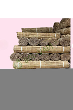 Moonson Indias God Life Hindistanın Yaşam Tanrısı Blu-ray Disc