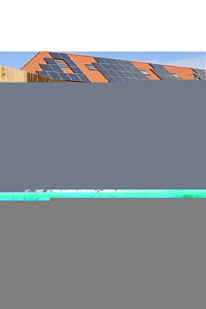 Year Of The Dog (köpeğini Kaybedenler Kulübü)