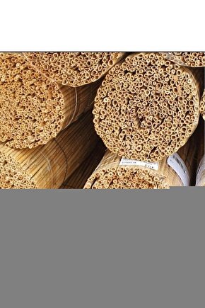 Copland  Güç Bölgesi