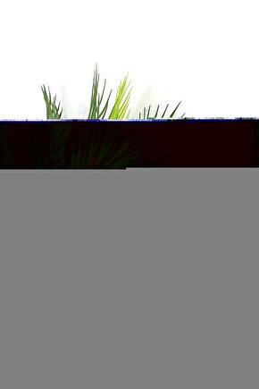 Misinalı Dorsolomber Korse Bedensiz, Rahat ve Destekleyici Tasarım