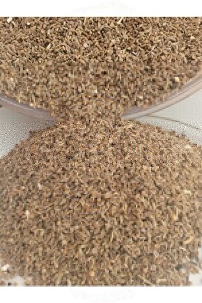 LTP-V002GL-7BUDF Kadın Kol Saati