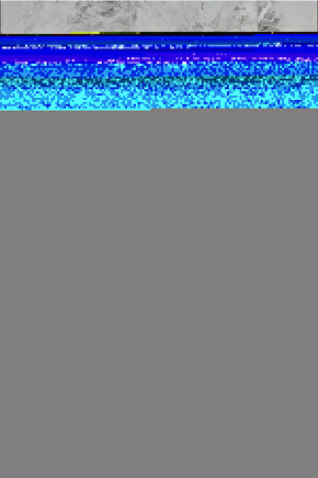 Beyaz Burgu Detaylı Bone