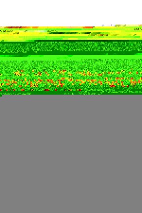 Rulo Kağıt Havluluk - Paslanmaz Metal Siyah Peçetelik