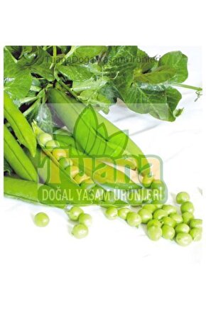 Bezelye Tohumu - 50 Adet