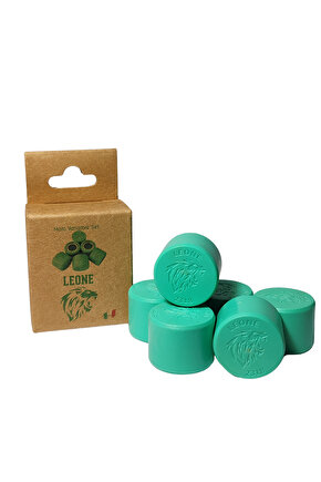 Honda Forza NSS 300cc Leone Performans Bagası