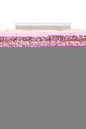 Mondial Wing 50 Bagası Motosiklet Tahrik Seti + Kızak Kaydırıcı Set (5,5gr)