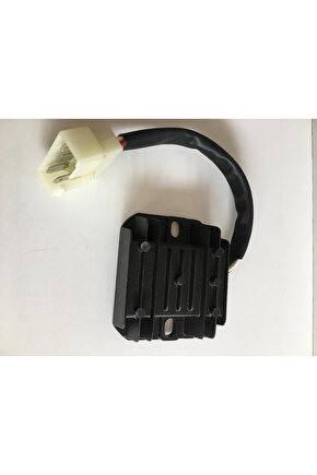 Scooter Regülatör Rs Hs Konjektör 5Li Büyük Fiş