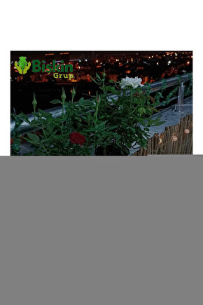 8 Rakam Silver Folyo Balon Sayılı Balon 100 Cm Dev Boy