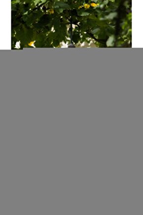 İhyau Ulumiddin (4 CİLT - ŞAMUA) Imam Gazali