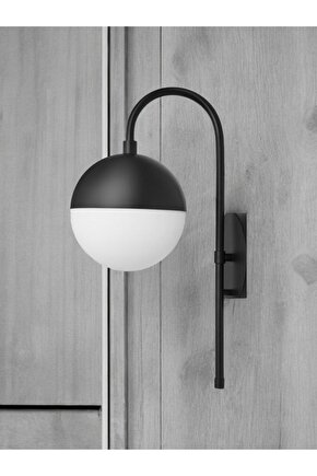 Sorulu Cevaplı Günümüz Fetvalarıyla Fıtır, Zekat, Öşür, Oruç, Itikaf