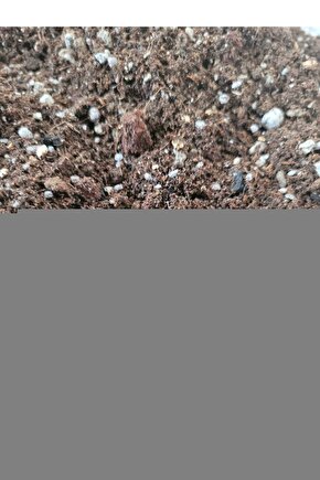 0465-Krem Kumaş Bordür Sisal Jut Halı Kilim Hav Toz Vermez Kolay Temizlenen Hasır Kilim