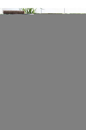 Bukle11880 Bej Yumuşak Dokulu Halı Kilim Salon Mutfak Koridor Kesme Yolluk Dokuma Makine Halısı