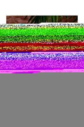 Vzn Burun Aspiratörü