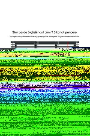 Siyah Mısır 20 Tohum