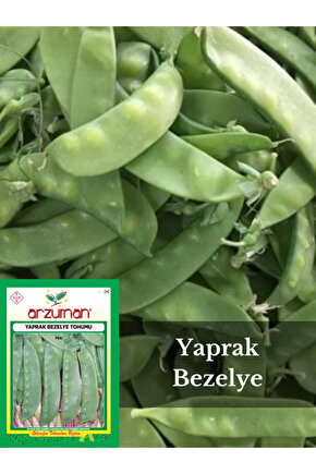 Yaprak Bezelye Tohumu 25 Gram