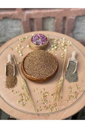 Roka Tohumu (AÇIK TOHUM) - 20 gram (GR) -