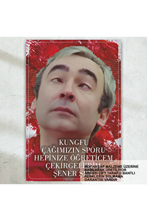 Şener Şen Kemal Sunal Yeşilçam Türk sineması kungfu çekirge repliği retro ahşap poster tablo