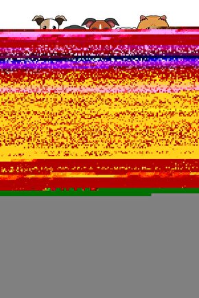 Çocuk Sıfır Yaka Kısa Kol Yün İçlik
