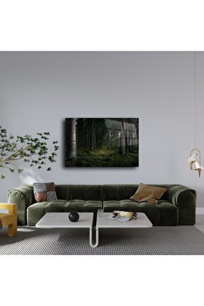 Bosu BallDenge Topu 60 Cm Mavi Renk