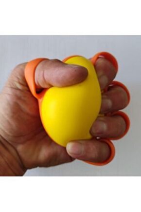 El egzersiz topu12490