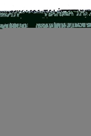 AXD-303 Kompresörlü Nebülizatör