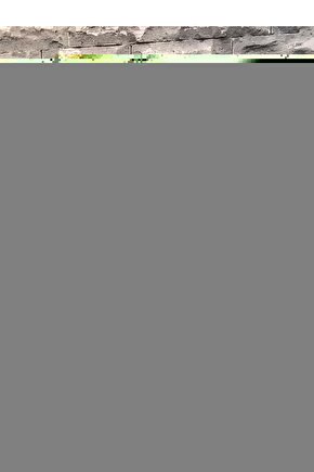 S-578 - Alçı Kesme Motoru