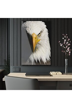 Beyaz Renkli Kartal Kafası Cam Tablo Duvar Dekoru