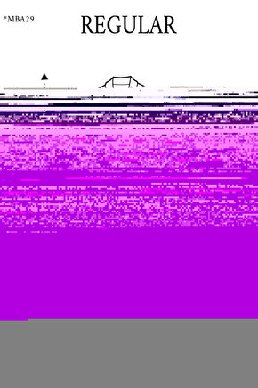 3 Parça Çerçeve Görünümlü Mdf Tablo Seti antik mısır aslan kelebek çiçek motifi