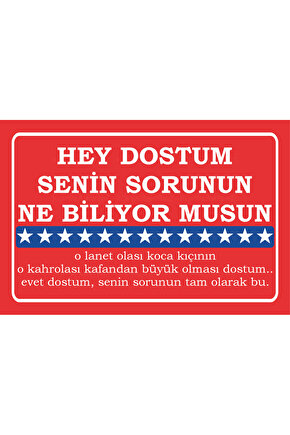 dostum senin sorunun ne biliyor musun amerikan filmleri meşhur replikler duvar yazıları ahşap poster