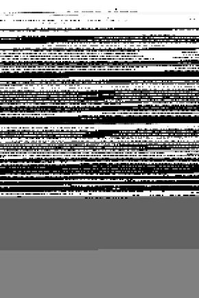 Espresso Barista Elit Blend