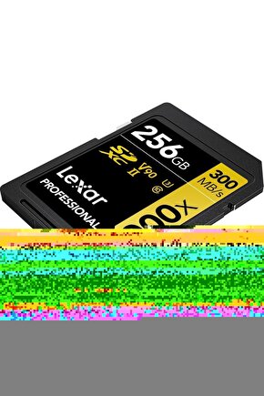 Erkek Bisiklet Yaka çizgi Desenli Ribanalı Kısa Kollu Tshirt