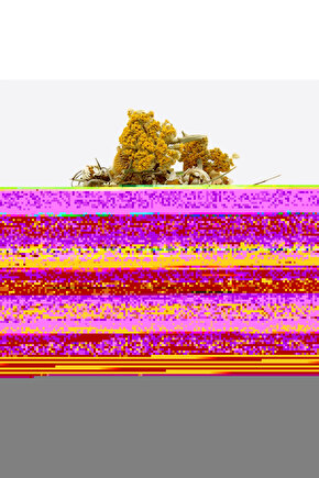 10 Kasıma Özel Üç İplik Kapüşonlu Baskılı SweatShirt - Beyaz