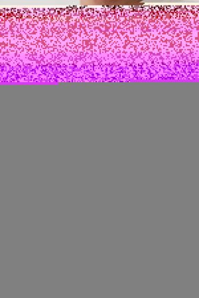 ŞAMANDRALI OTOMATİK TAVUK SULUK ASKILI TAVUK SULUK